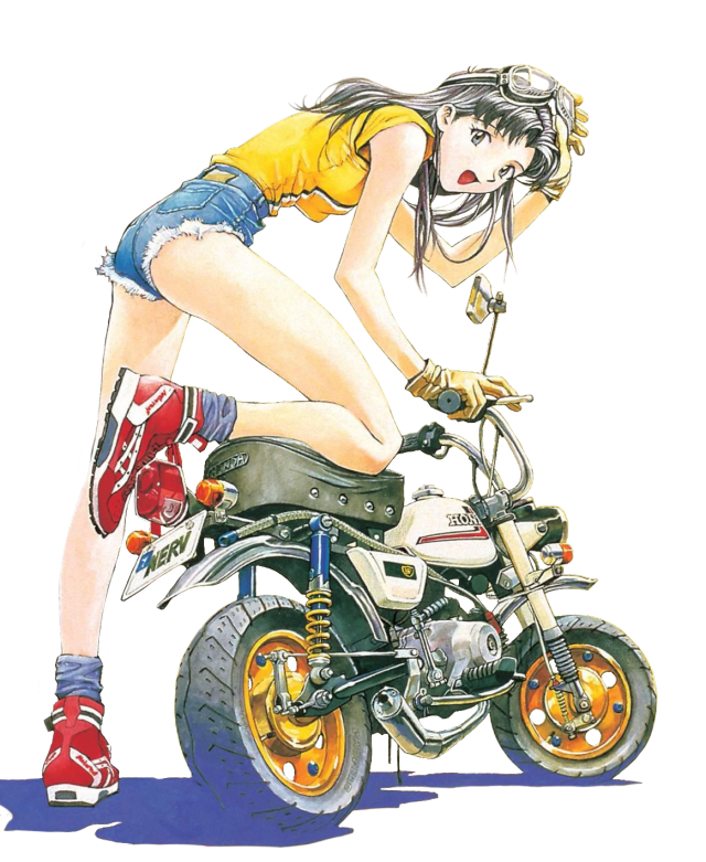 NGE misato