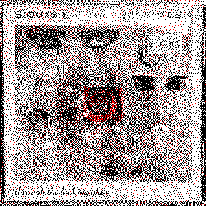 siouxie and the banshees - through the looking glass